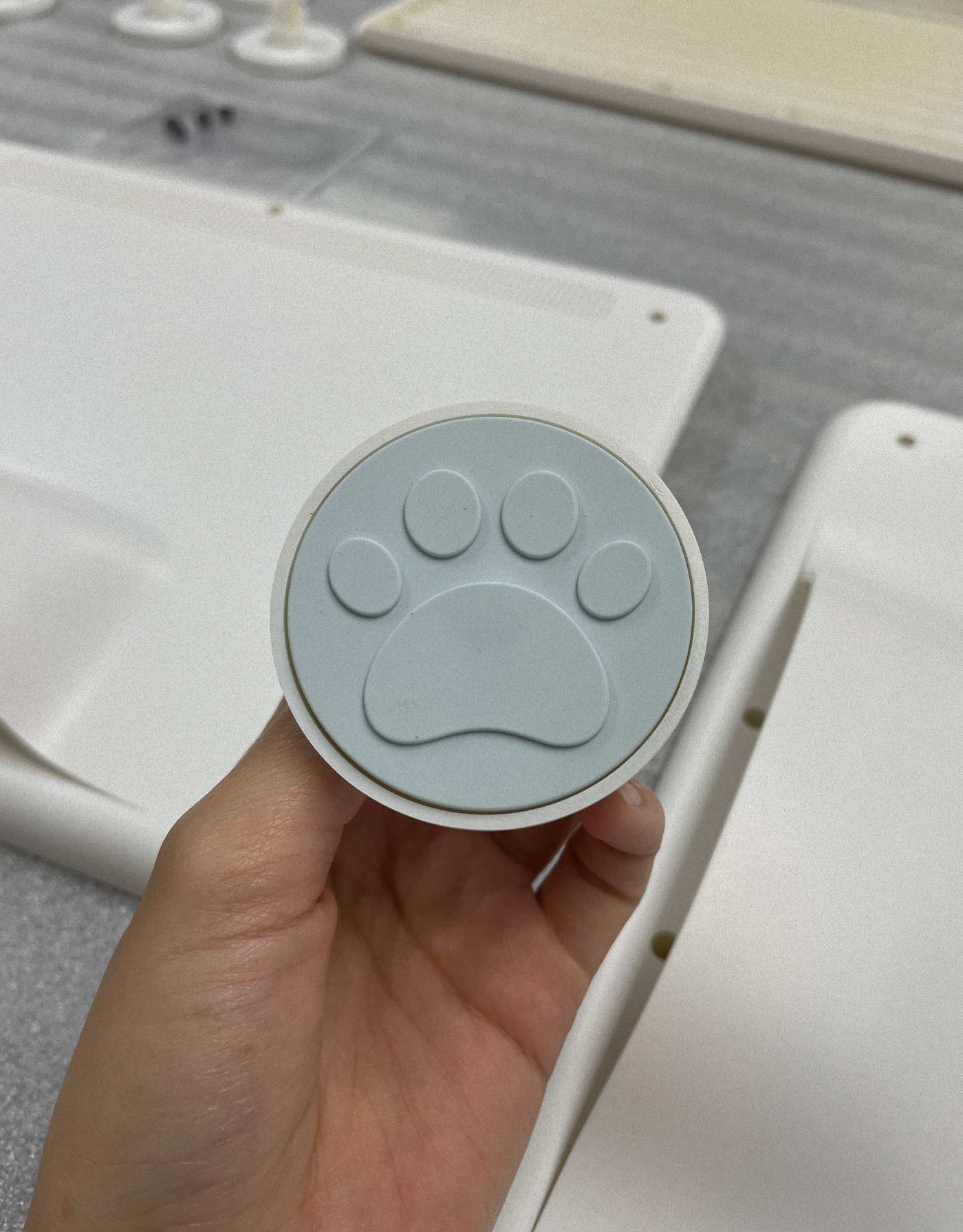 BEBOP-dogsplay-14-process